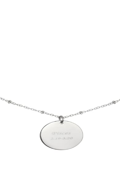Ketting Constellation - Vissen Zilver Stainless Steel h5 Afbeelding3
